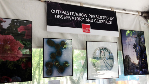 CUT/PASET/GROW at World Science Festival's Innovation Square